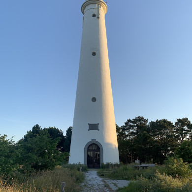 Rijksdienst voor het Cultureel Erfgoed: Bogers, Guido