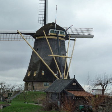 Rijksdienst voor het Cultureel Erfgoed: Bogers, Guido