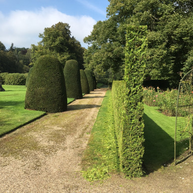 Rijksdienst voor het Cultureel Erfgoed: Wal, Henry van der