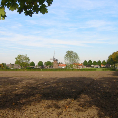 Rijksdienst voor het Cultureel Erfgoed: Terpstra, Frank