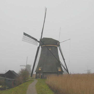 Rijksdienst voor het Cultureel Erfgoed: Terpstra, Frank