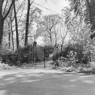 Rijksdienst voor het Cultureel Erfgoed: Heins, IJ.Th.