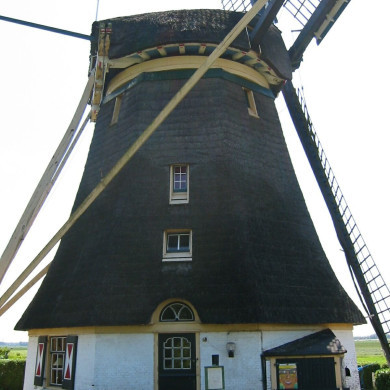 Rijksdienst voor het Cultureel Erfgoed: Terpstra, Frank