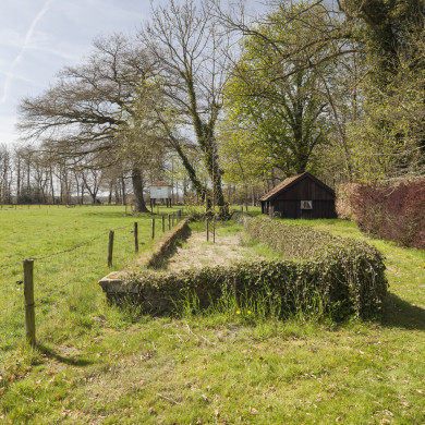 Rijksdienst voor het Cultureel Erfgoed: Sar, Wouter van der