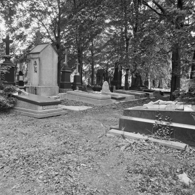 Rijksdienst voor het Cultureel Erfgoed: Wal, A.J. van der