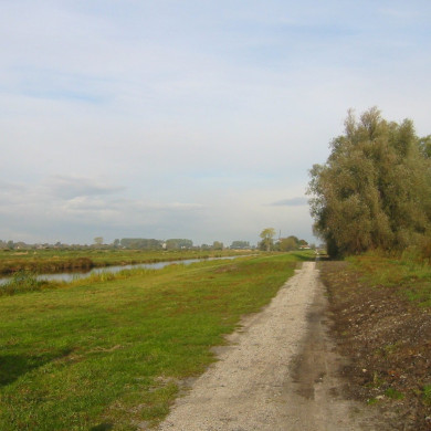 Rijksdienst voor het Cultureel Erfgoed: Terpstra, Frank