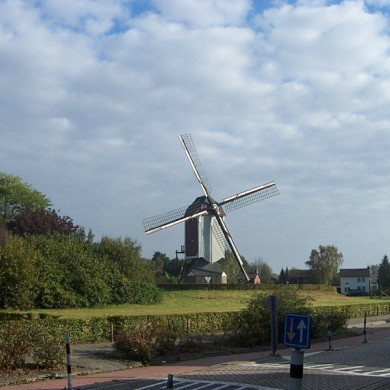Rijksdienst voor het Cultureel Erfgoed: Terpstra, Frank