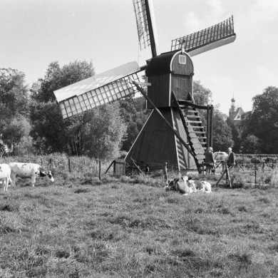 Rijksdienst voor het Cultureel Erfgoed: Heijdra, J.A.