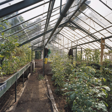 Rijksdienst voor het Cultureel Erfgoed: Heins, IJ.Th.