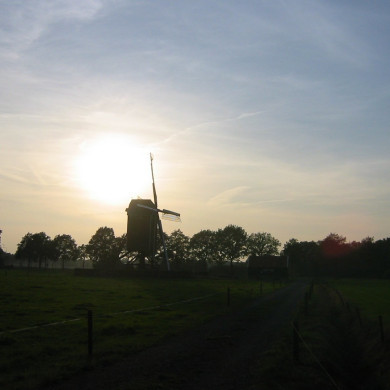 Rijksdienst voor het Cultureel Erfgoed: Terpstra, Frank