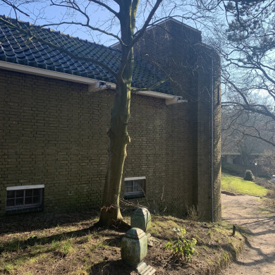 Rijksdienst voor het Cultureel Erfgoed: Bogers, Guido