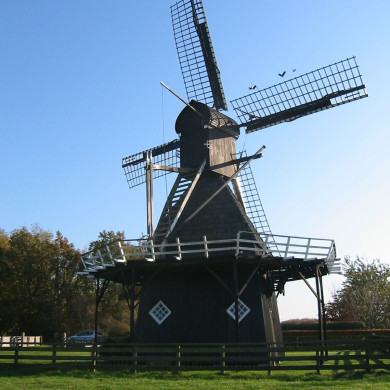 Rijksdienst voor het Cultureel Erfgoed: Terpstra, Frank