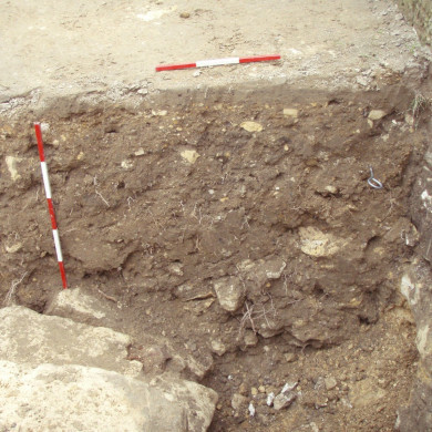 Rijksdienst voor het Cultureel Erfgoed