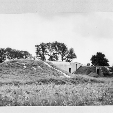 Rijksdienst voor het Cultureel Erfgoed: Koning, de