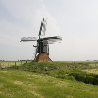 Rijksdienst voor het Cultureel Erfgoed: Roderburg, K. (Kris)