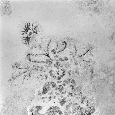 Rijksdienst voor het Cultureel Erfgoed: Wal, A.J. van der