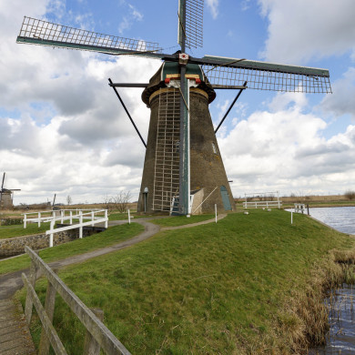 Rijksdienst voor het Cultureel Erfgoed: Tilleman, Ronald