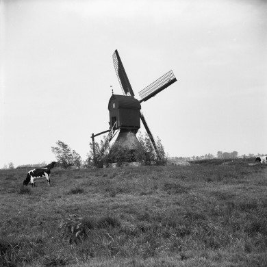 Rijksdienst voor het Cultureel Erfgoed: Korpershoek, W.A.
