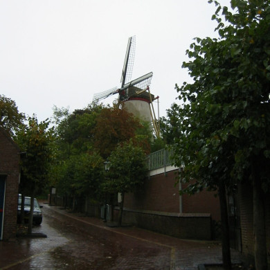 Rijksdienst voor het Cultureel Erfgoed: Terpstra, Frank