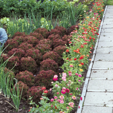 Rijksdienst voor het Cultureel Erfgoed: Heuff M. (Marijke)