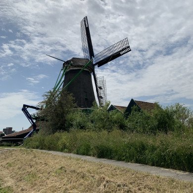 Rijksdienst voor het Cultureel Erfgoed: Bogers, Guido