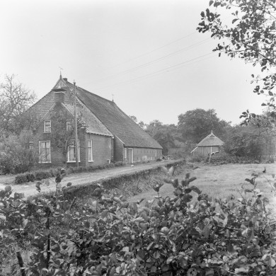 Rijksdienst voor het Cultureel Erfgoed: Berg, H.M. van den