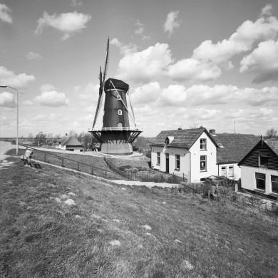 Rijksdienst voor het Cultureel Erfgoed: Heins, IJ.Th.