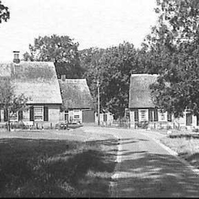 Rijksdienst voor het Cultureel Erfgoed: Hagens, H.