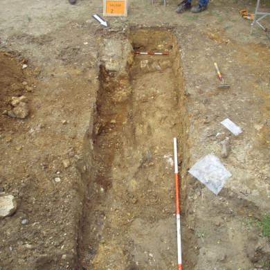 Rijksdienst voor het Cultureel Erfgoed