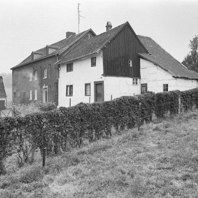 Rijksdienst voor het Cultureel Erfgoed: Tangel, L.M.