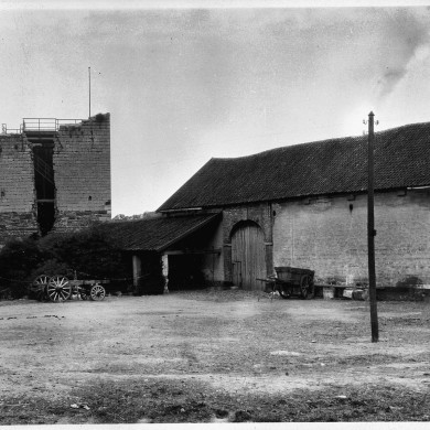 Rijksdienst voor het Cultureel Erfgoed