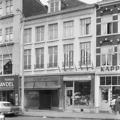 Rijksdienst voor het Cultureel Erfgoed: Delemarre, G.Th.