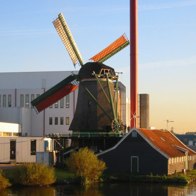 Rijksdienst voor het Cultureel Erfgoed: Terpstra, Frank