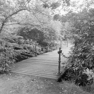 Rijksdienst voor het Cultureel Erfgoed: Wal, A.J. van der