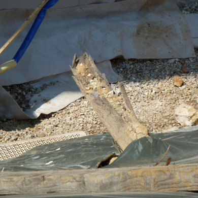 Rijksdienst voor het Cultureel Erfgoed: Bers, Mieke