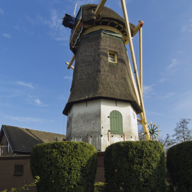 Rijksdienst voor het Cultureel Erfgoed: Galen, Jan van