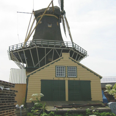 Rijksdienst voor het Cultureel Erfgoed: Terpstra, Frank