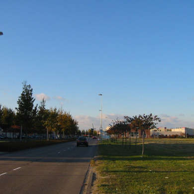 Rijksdienst voor het Cultureel Erfgoed: Terpstra, Frank