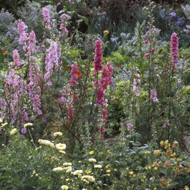Rijksdienst voor het Cultureel Erfgoed: Heuff M. (Marijke)