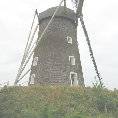 Rijksdienst voor het Cultureel Erfgoed: Terpstra, Frank