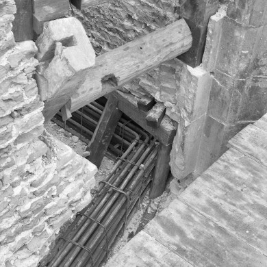 Rijksdienst voor het Cultureel Erfgoed