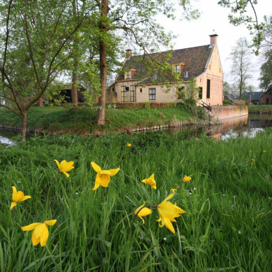 Rijksdienst voor het Cultureel Erfgoed: Bijlsma, Simon