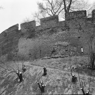 Rijksdienst voor het Cultureel Erfgoed: Delemarre, G.Th.