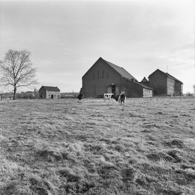 Rijksdienst voor het Cultureel Erfgoed: Dukker, G.J.