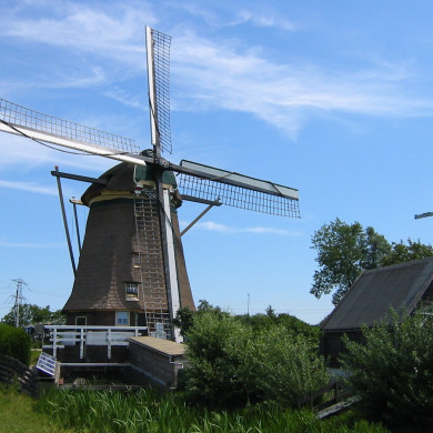Rijksdienst voor het Cultureel Erfgoed: Terpstra, Frank