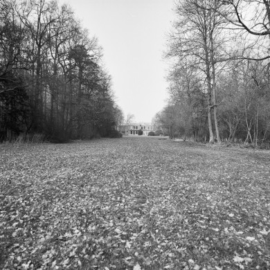 Rijksdienst voor het Cultureel Erfgoed: Schollen, A.H.C.