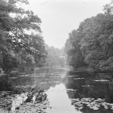 Rijksdienst voor het Cultureel Erfgoed: Schellekens, P.C.
