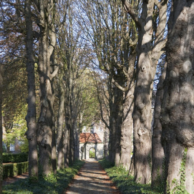 Rijksdienst voor het Cultureel Erfgoed: Technau, Sergé