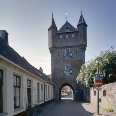 Rijksdienst voor het Cultureel Erfgoed: Heins, IJ.Th.