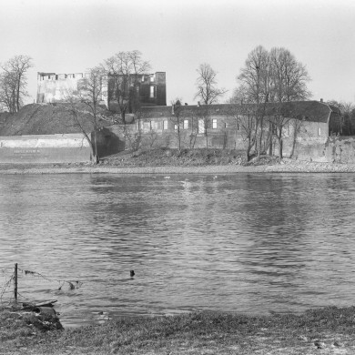 Rijksdienst voor het Cultureel Erfgoed: Delemarre, G.Th.